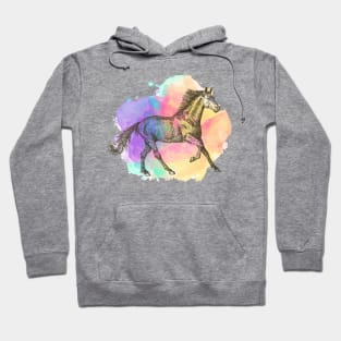 Colorful Horse Gift Horse Lovers Racing Riding Hoodie